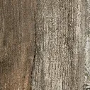 28SalvageMusk_580x_crop_center.webp