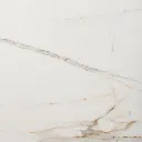 24x48RegalCarraraMatte_580x_crop_center.webp