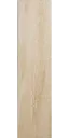 Dune Ridge 6"x24"