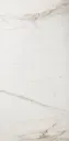 Regal Carrara Matte 24"x48"