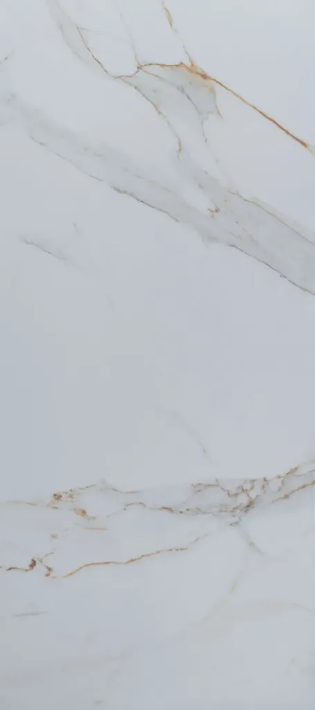 Regal Carrara Polished 24"x48"