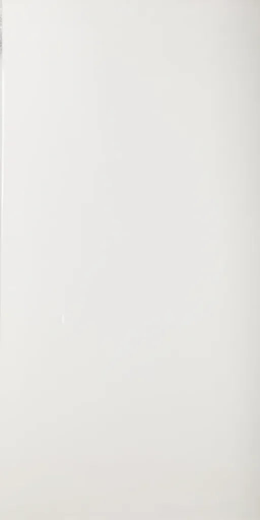 Super White Polished 24"x48"